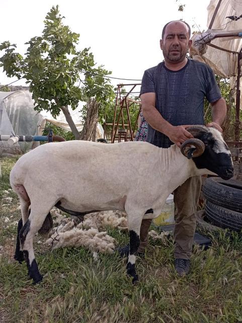 Aydın'da motosiklet kazası yine can aldı